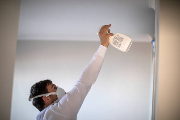 Trusted Marinette, WI Mold Removal Experts