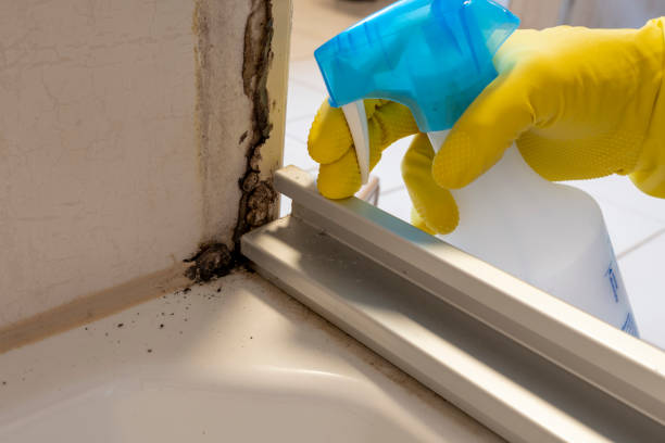 Best Crawl Space Mold Removal  in Marinette, WI