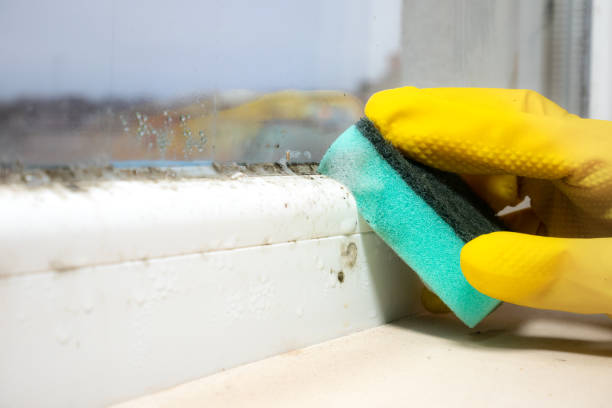 Best Mold Testing  in Marinette, WI