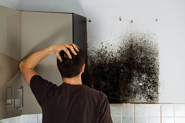 Best Water Damage Restoration  in Marinette, WI